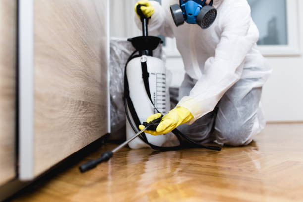 Best Pest Control Near Me in La Mesa, CA
