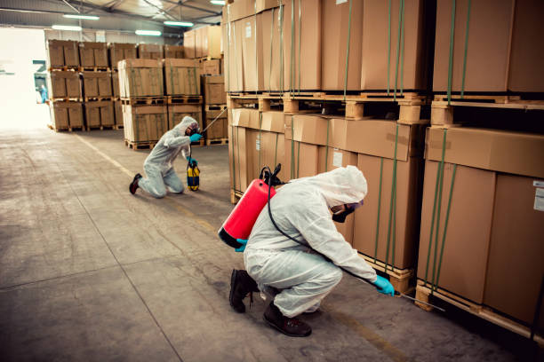 Best Mosquito Control Services  in La Mesa, CA