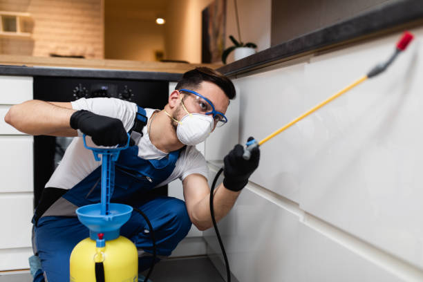 Best Exterminator Services  in La Mesa, CA
