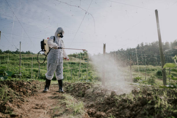 Best Pest Control for Homes  in La Mesa, CA