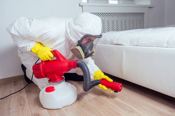 Best Pest Removal Services  in La Mesa, CA