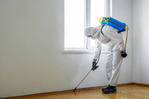 Best Best Pest Control Companies  in La Mesa, CA