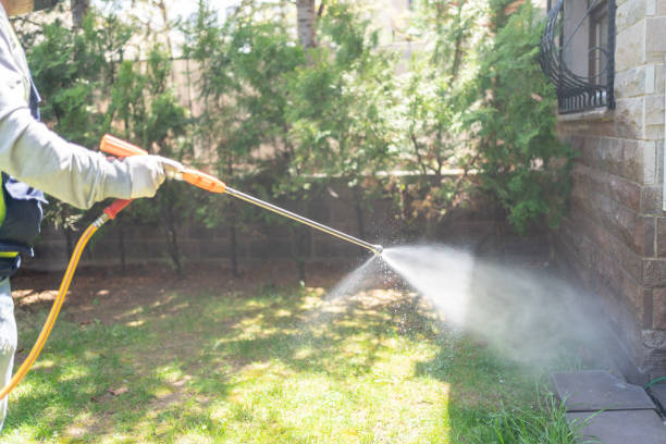 Best Affordable Pest Control Services  in La Mesa, CA