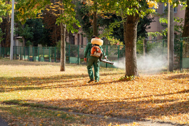 Reliable La Mesa, CA Pest Control Solutions
