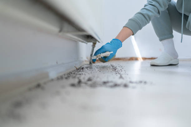 Best Commercial Pest Control Services  in La Mesa, CA